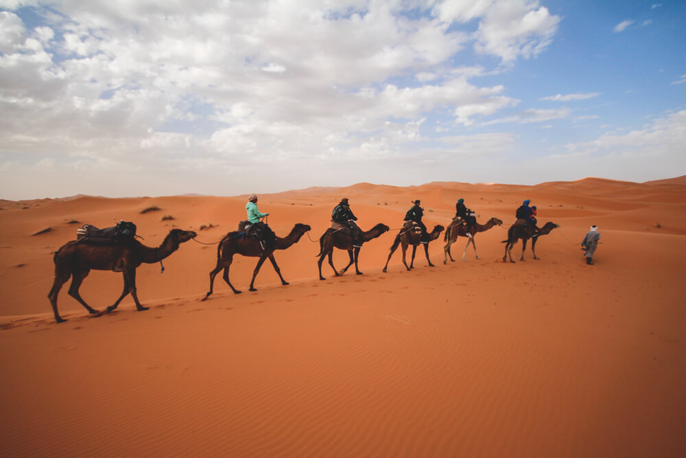 Kamele-Marokko-Merzouga-Sahara-Wueste-Tour