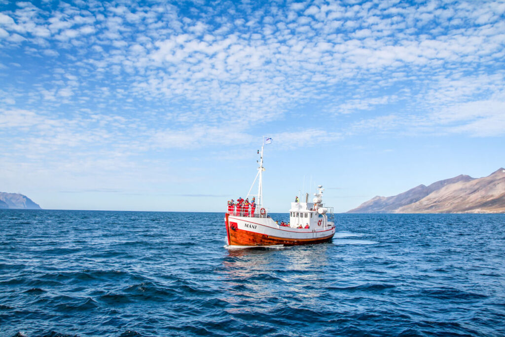 Whale Watching Tour Island Hauganes
