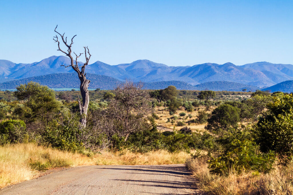 Kruger Nationalpark Landschaft