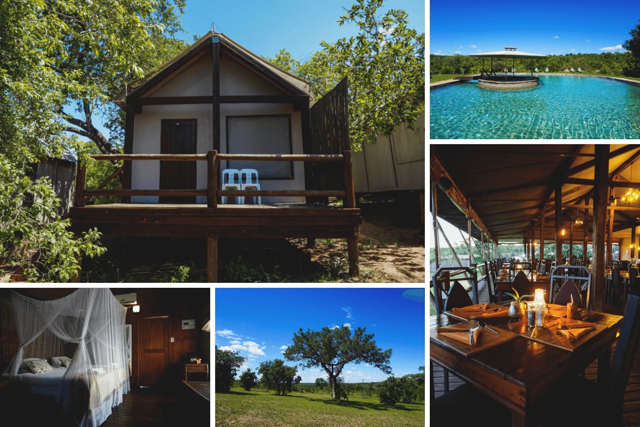 Krüger Nationalpark Unterkunft Nkambenia Camp krueger-nationalpark-suedafrika-nkambeni-camp