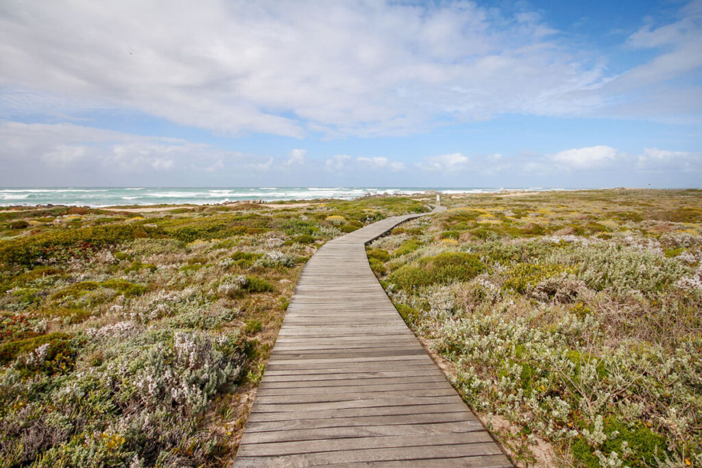Nationalpark Südafrika