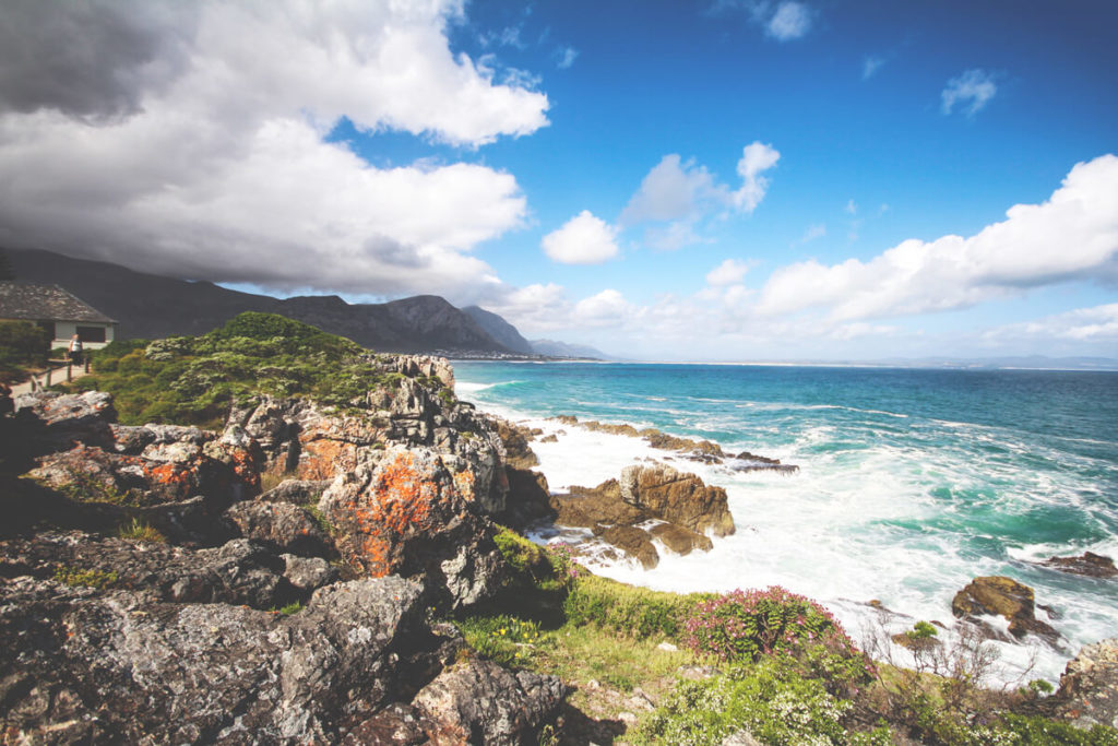 hermanus-suedafrika-wale-beobachten-1