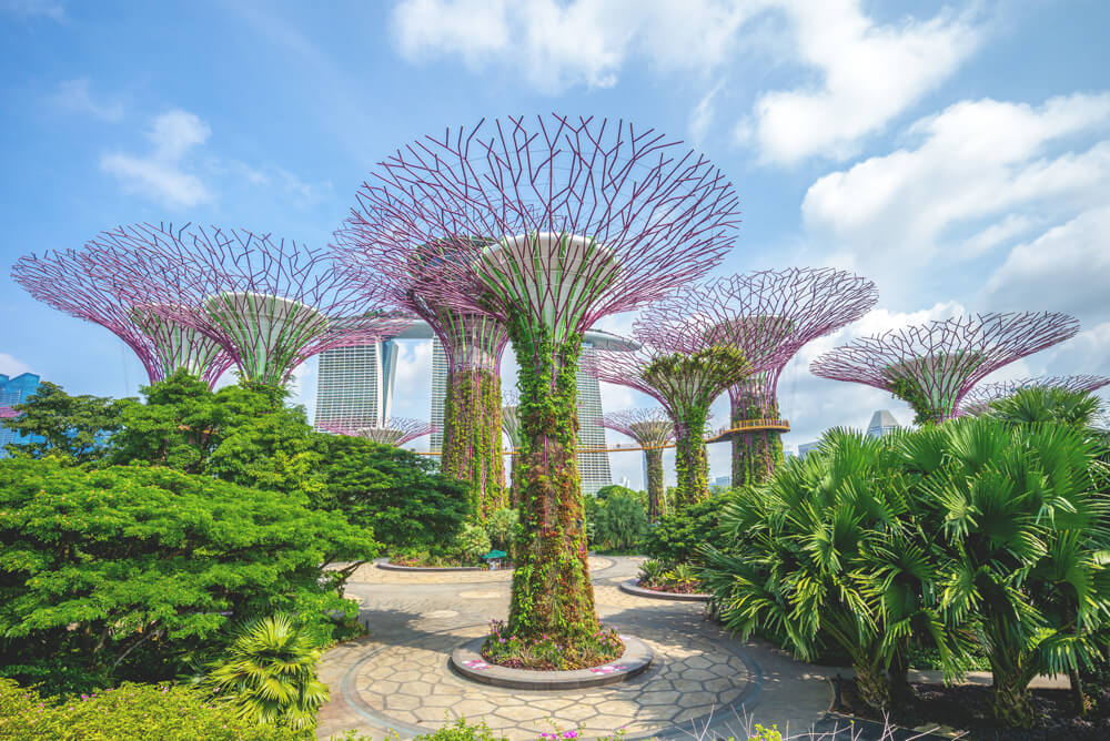 Singapur Sehenswürdigkeiten Gardens by the Bay Supertree