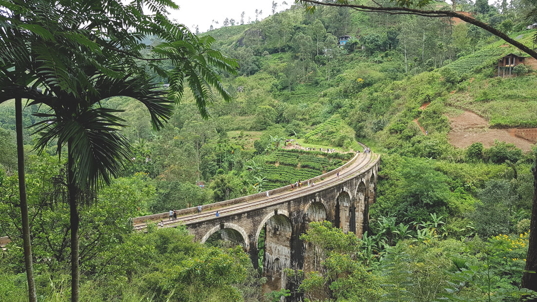 Beste Reisezeit Sri Lanka - Alles zum Klima & Regenzeit