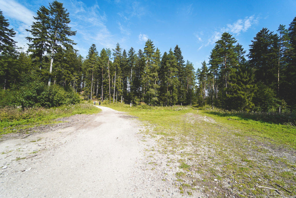 nationalpark-slowakisches-paradies-sucha-bela-schlucht-4