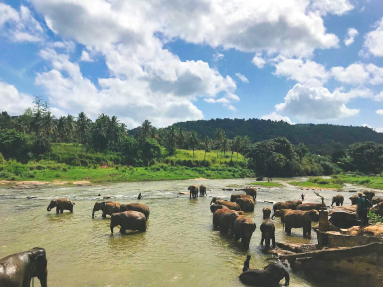 Beste Reisezeit Sri Lanka - Alles zum Klima & Regenzeit