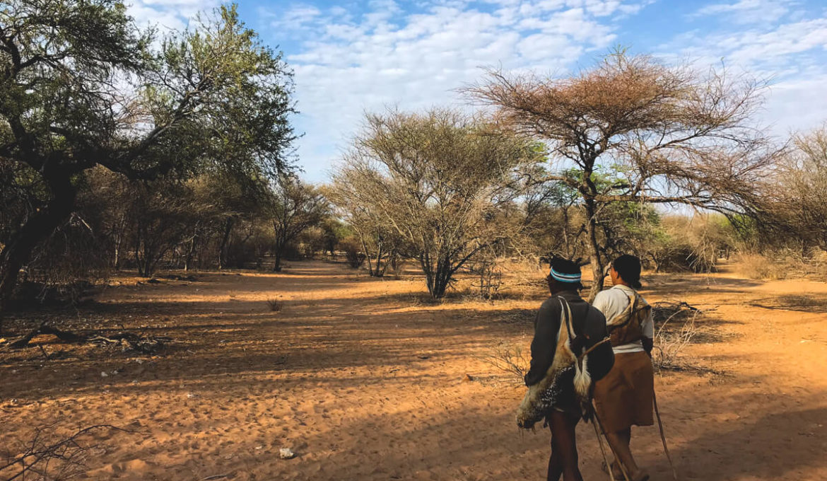 Rundreise Botswana – In der Wildnis des südlichen Afrikas
