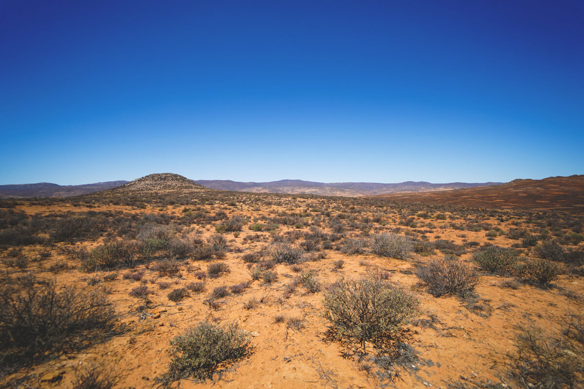 Namaqua National Park in Südafrika Erfahrungen & Tipps