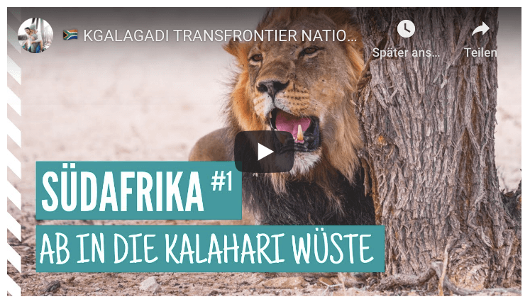 Südafrika Rundreise Kgalagadi Transfrontier National Park Video Youtube