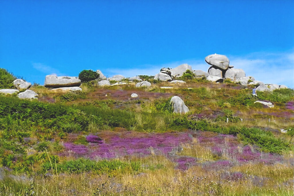 Nordfrankeich-Bretagne-Cote-de-Granite-Rose-1