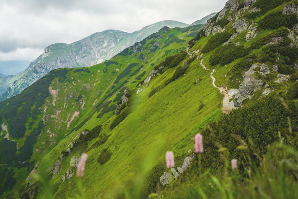 Hohe-Tatra-Polen-Kasprowy-Wierch-Wanderung-Gipfel-1