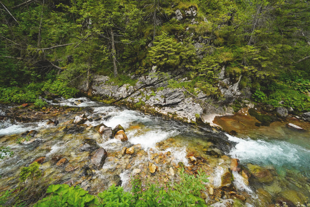 Hohe-Tatra-in-Polen-Tal-Dolina-Koscieliska-Fluss