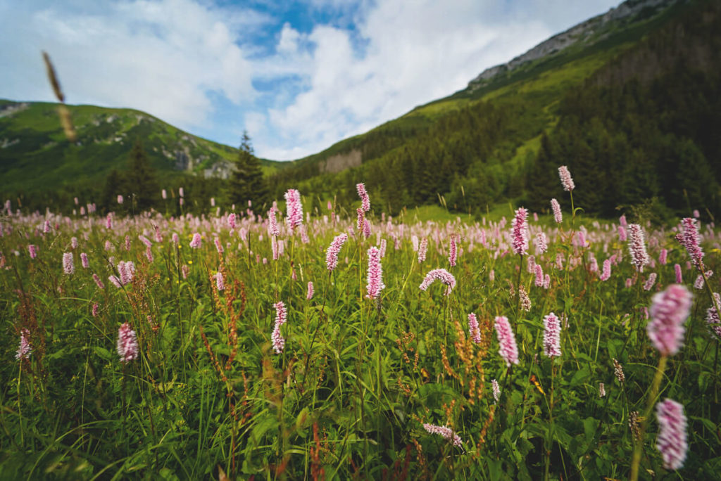 Hohe-Tatra-in-Polen-Wanderung-Kasprowy-Wierch-1