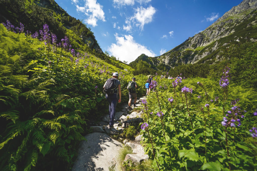 Wanderung-Hohe-Tatra-Polen-Tal-der-5-Seen