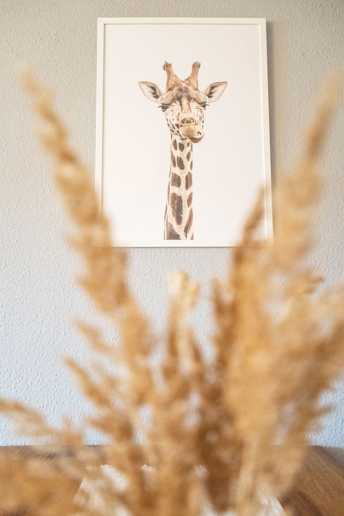 Desenio-Poster-Giraffe-Afrika-Suedafrika