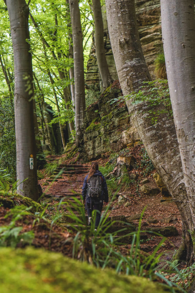 Luxemburg-Wanderung-Muellerthal-Felsenlandschaft