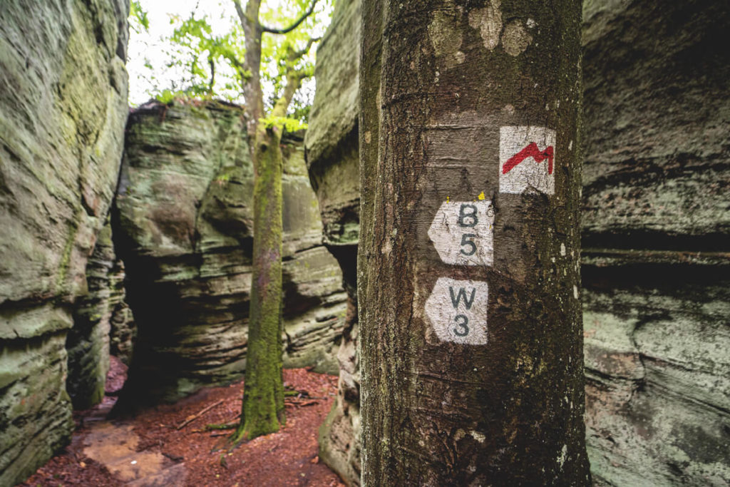 Wanderleitsystem-Luxemburg