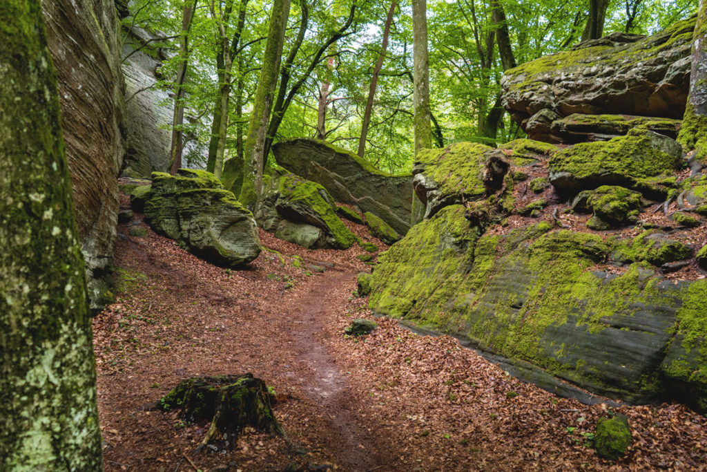 Wanderung-Muellerthal-Luxemburgische-Schweiz-B2