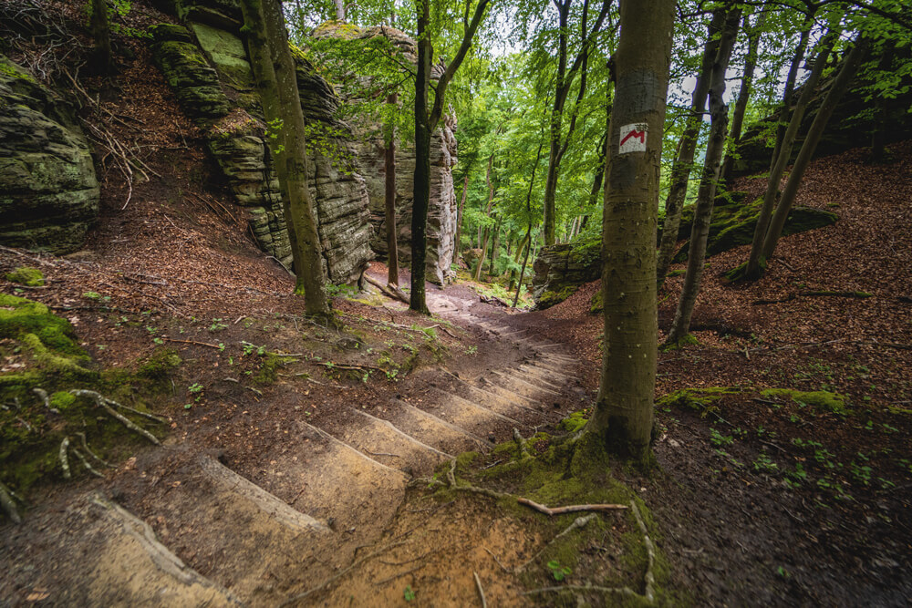 Luxemburg Müllerthal Wanderung