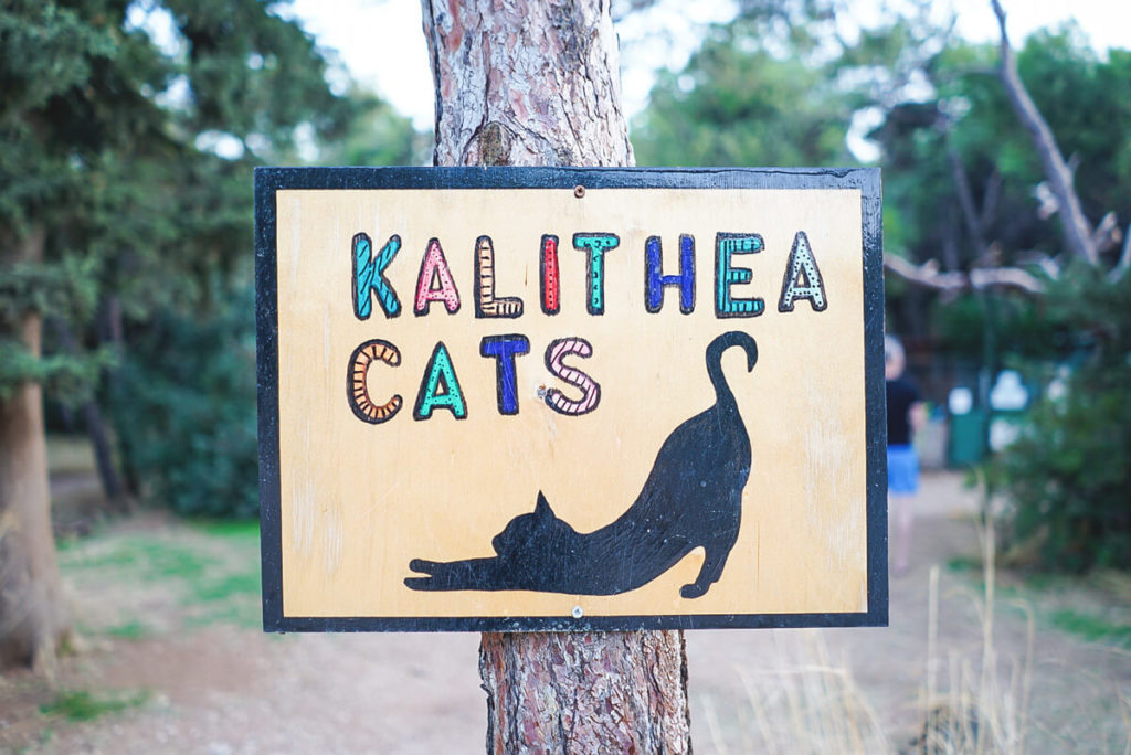 Kalithea-Cats-Rhodos
