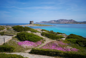 Sardinien-Reisevorbereitung-Reise-Planen-La-Pelosa