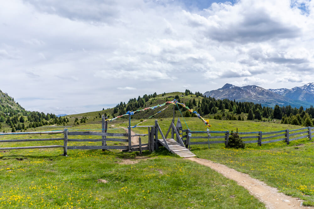 Plateau-Hochmoor-Plamort-Italien-Grenze-2