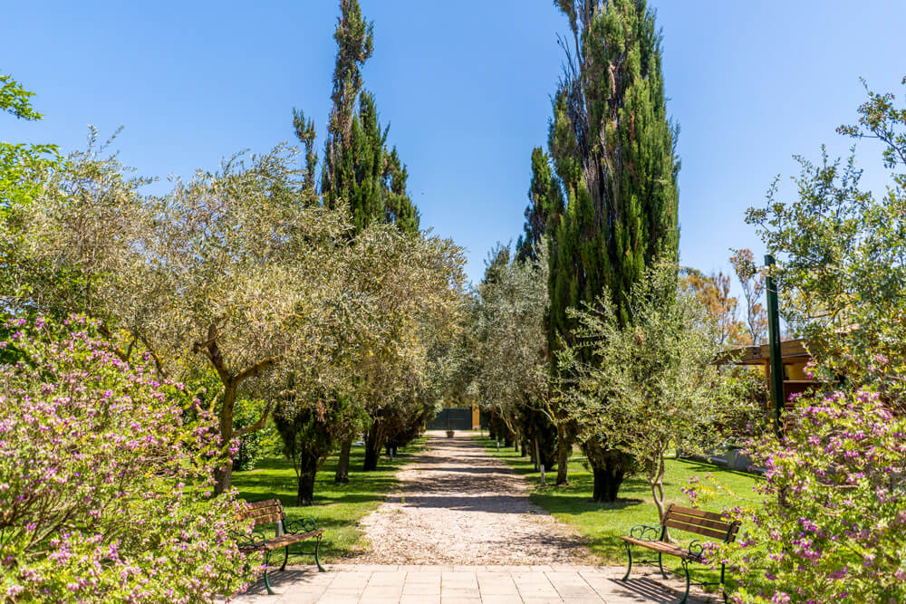 Sardinien-Sehenswuerdigkeiten-Norden-Weingut_1