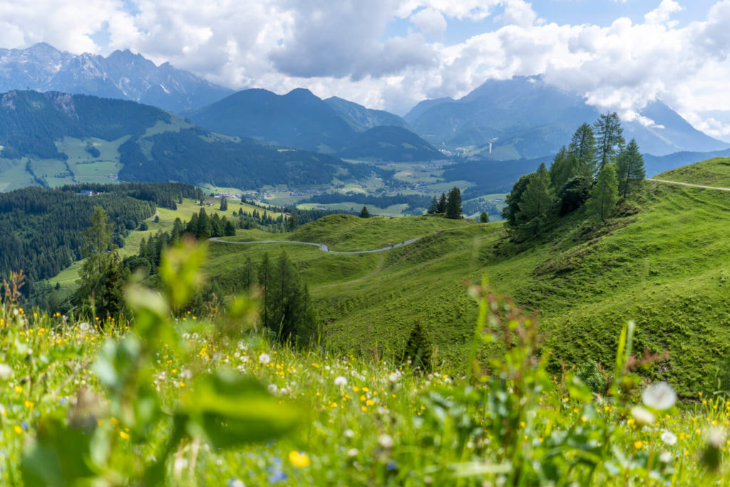 Urlaub-im-Pillerseetal-Kitzbueheler-Alpen