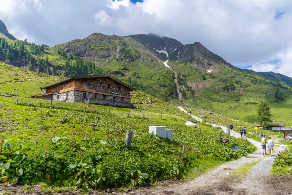 Wildalm-Kaeserei-Pillerseetal-Tirol