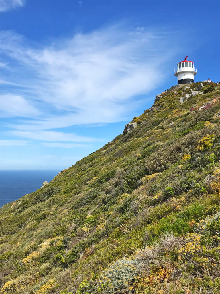 Leuchtturm-Cape-Point-Kaphalbinsel-1