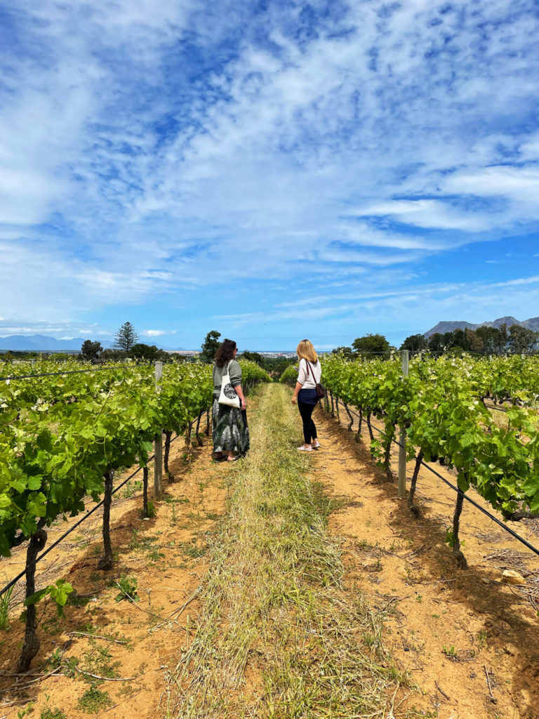 Weingut-Groot-Constantia-Suedafrika-2