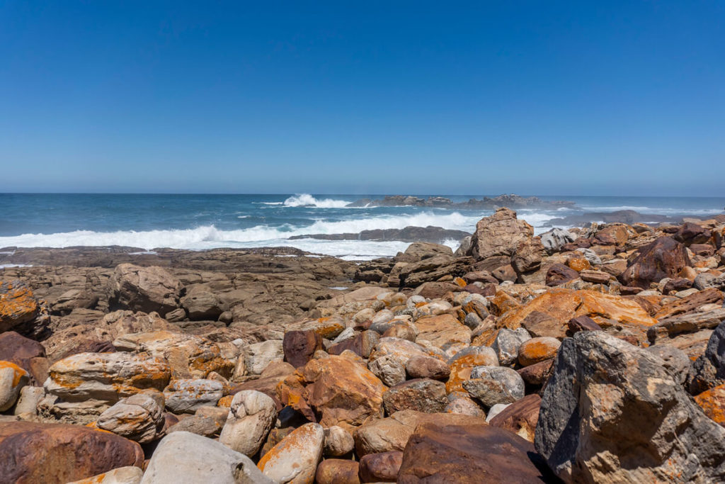 The Point Robberg Nature Reserve