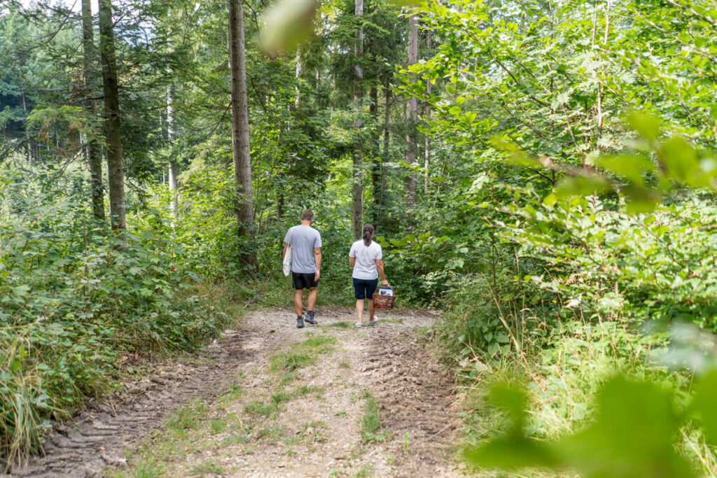 Kräuterwanderung Bad Tölz