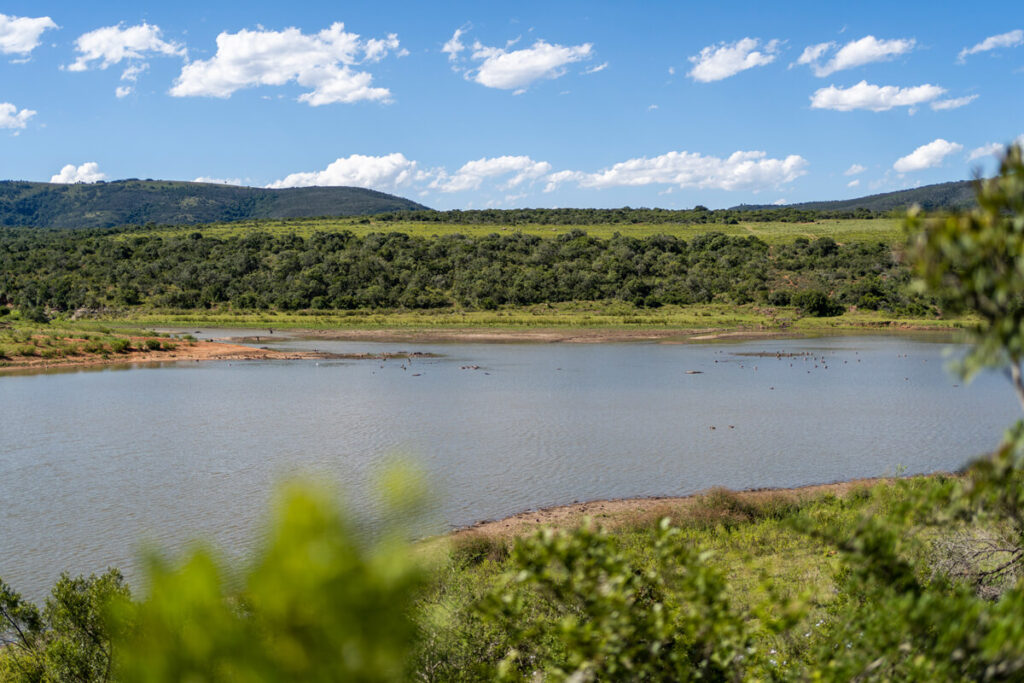 Pumba Private Game Reserve Wasserloch