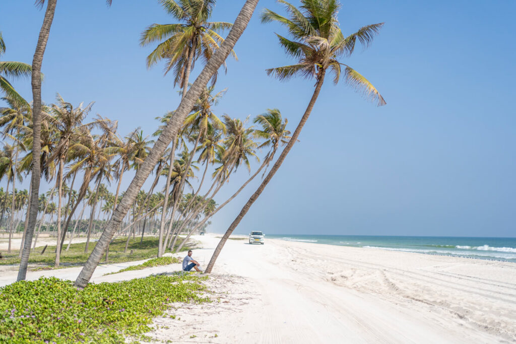 Oman Reisezeit Salalah Palmen