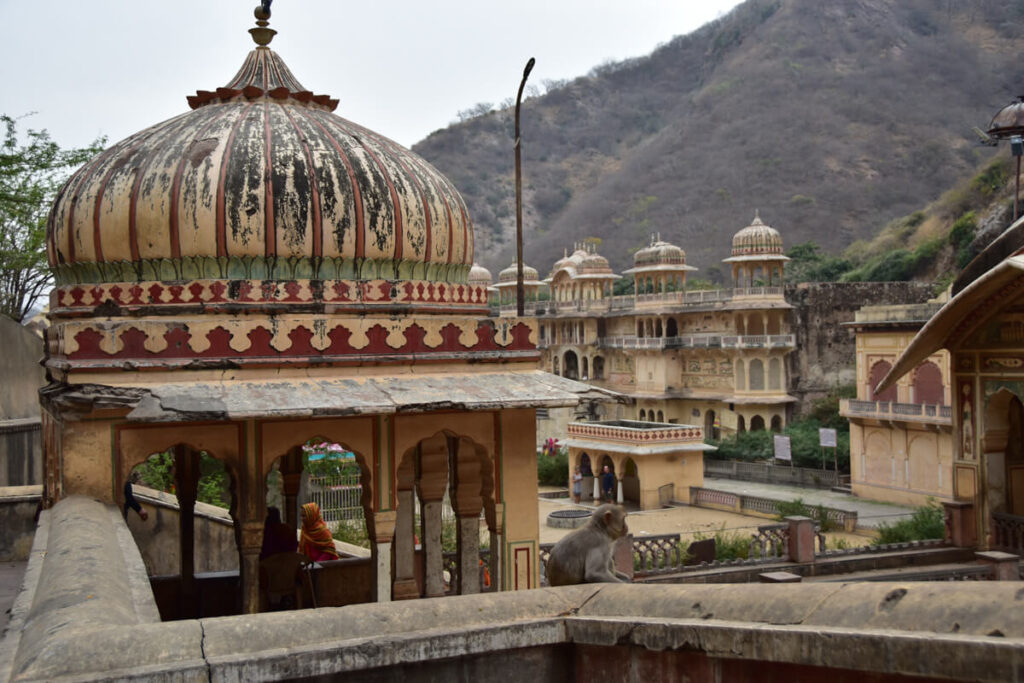 Jaipur Affen Tempel