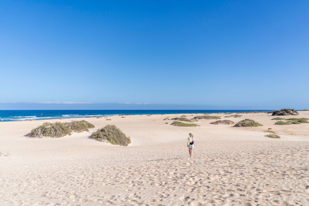 Reiseziele im März Fuerteventura Strand