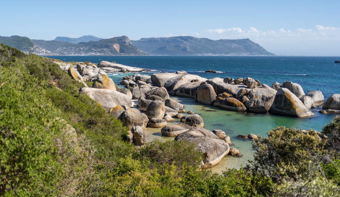 Boulders Beach Pinguine