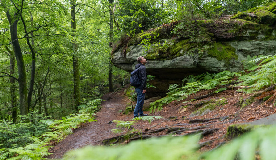 7 tolle Highlights im UNESCO Biosphärenreservat Bliesgau im Saarland