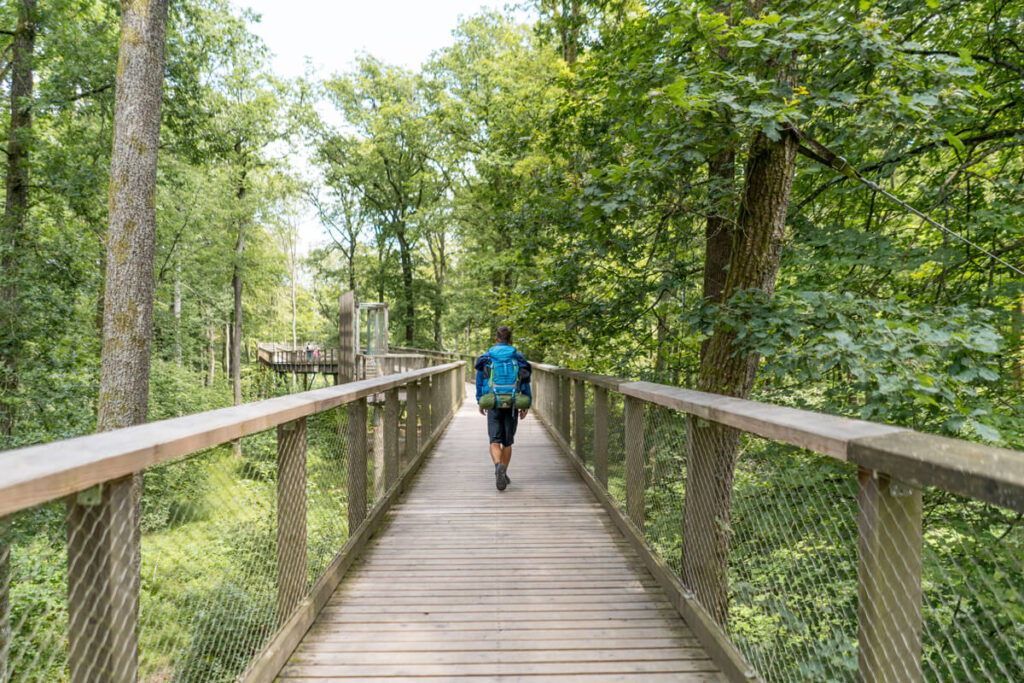 Saarschleife Baumwipfelpfad Saarland