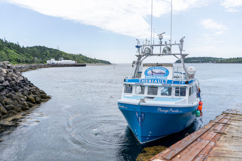 Whale Watching Bay of Fundy Nova Scotia