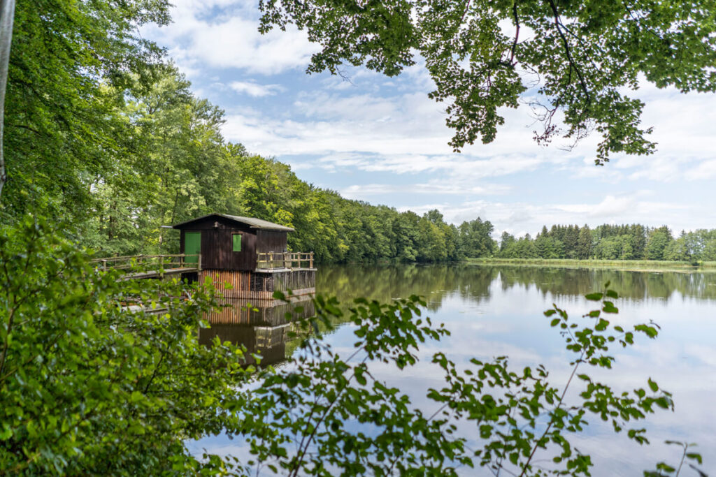 Kißlegg Seenplatte Wanderung Weiher