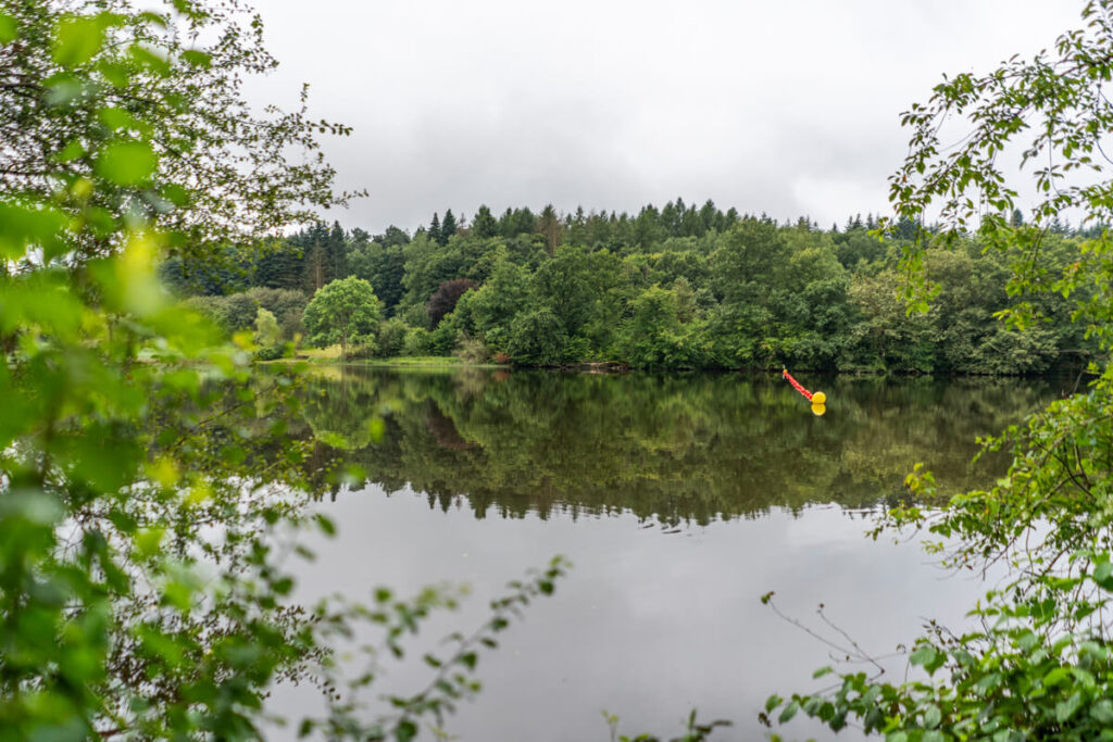 Losheim Stausee Saar-Hunsrück-Steig