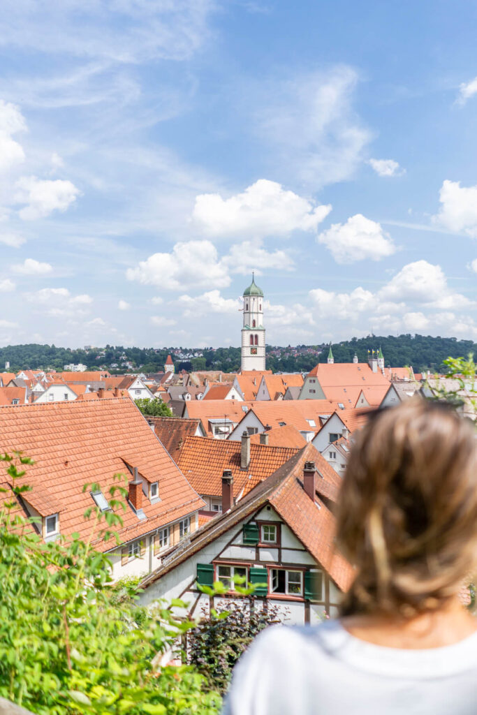 Schillerhöhe Biberach Aussicht Oberschwaben-Allgäu