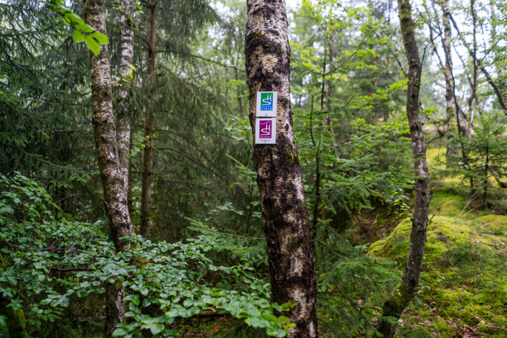 Markierung Wanderweg Saar-Hunsrück-Steig