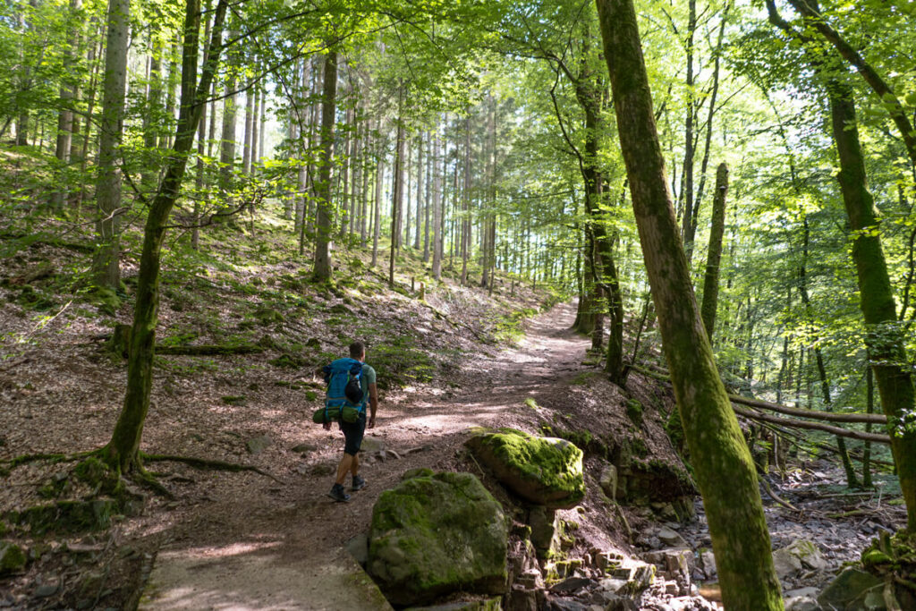 Wanderung Saarland Wald