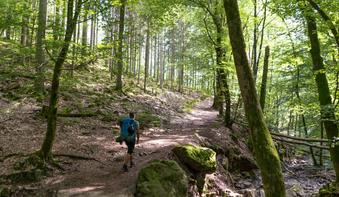 Saar-Hunsrück-Steig: Unsere Wanderung inkl. Highlights & Reisetipps