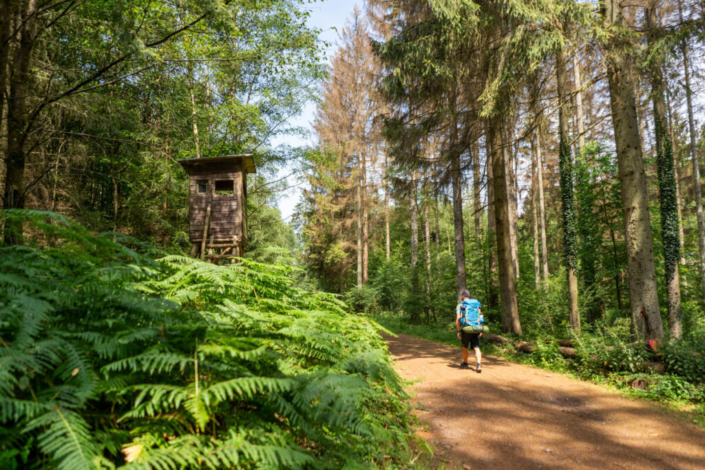 Wandern auf dem Saar-Hunsrück-Steig Etappe 3