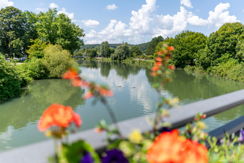 Sigmaringen Donau