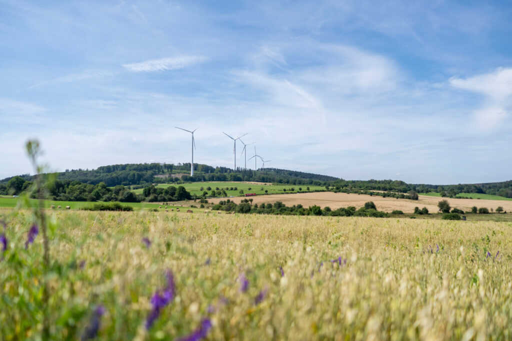 Premium Fernwanderweg Saar-Hunsrück-Steig